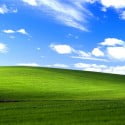 قصة خلفية صورة Windows Xp الشهيرة 1 windows xp bliss wide قصة خلفية صورة Windows Xp الشهيرة