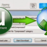 تحويل التورنت Torrent إلى روابط مباشرة تدعم الإستكمال مجانا ! 1 torrent idm 5 تحويل التورنت Torrent إلى روابط مباشرة تدعم الإستكمال مجانا !