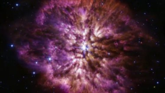 جيمس ويب يلتقط صورة نجم نادر قبل انفجاره.. التفاصيل 1 d8acd98ad985d8b3 d988d98ad8a8 d98ad984d8aad982d8b7 d8b5d988d8b1d8a9 d986d8acd985 d986d8a7d8afd8b1 d982d8a8d984 d8a7d986d981d8acd8a7d8b1 64173b6698e7f جيمس ويب يلتقط صورة نجم نادر قبل انفجاره.. التفاصيل